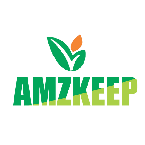 My Store